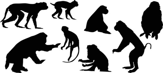 eight isolated monkey silhouettes