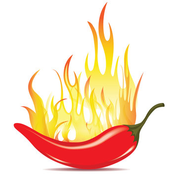 Hot chilli pepper in fire