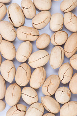 pecan nuts isolated on white