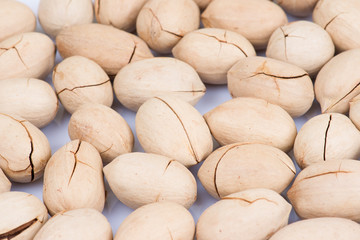 pecan nuts isolated on white