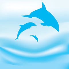 vector Dolphins