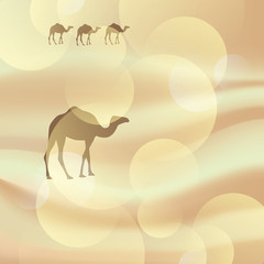 Vector camel in the desert