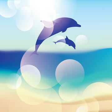 vector Dolphins