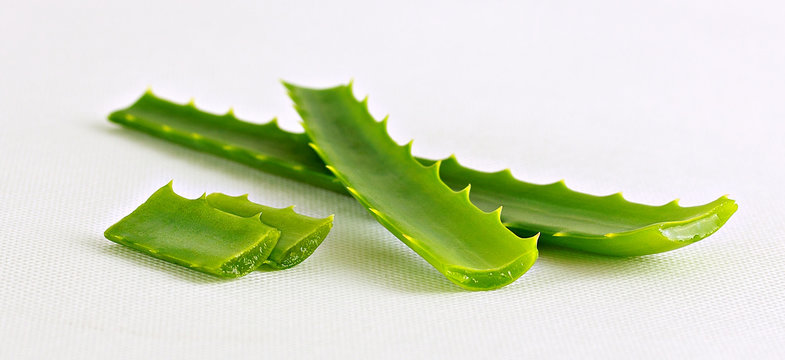aloe