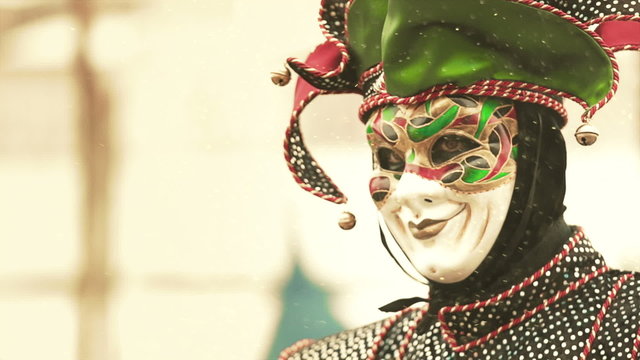 Jester costume in the carnival in Venice 2013