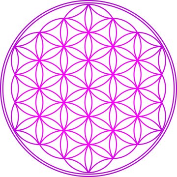 Blume des Lebens - Heilige Geometrie - Vektor Pink
