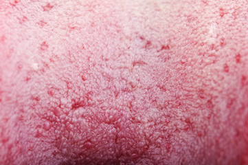 tongue structure
