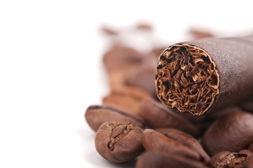 cigar and coffee beans