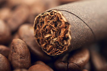 cigar and coffee beans