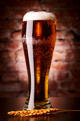 glass of lager