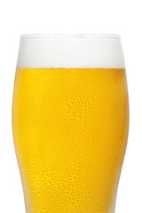 白背景にビールのクローズアップ