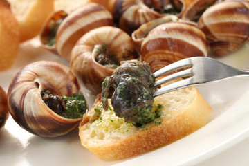 escargot, snails a la bourguignonne © uckyo