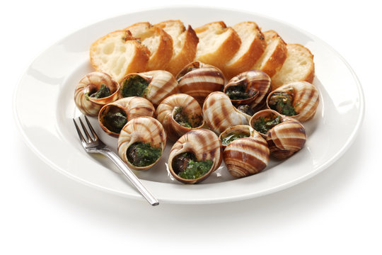 escargot, snails a la bourguignonne