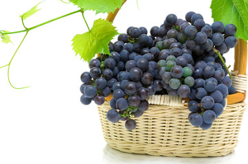 ripe grapes in a basket on a white background