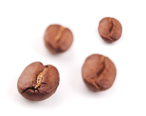 coffee beans isolated