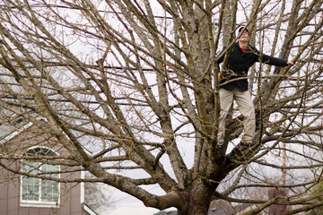 Man climbing on a tree in a park.