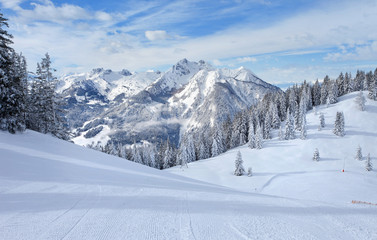 Fototapeta na wymiar the austrian alps