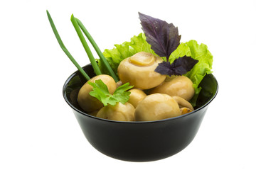 Ripe fresh Champignon