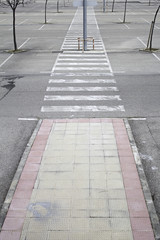 Obraz premium Zebra Crossing