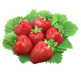 Strawberries with leaves isolated on white. Clipping path