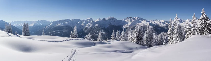 Fotobehang Winterpanorama in de besneeuwde bergen © Netzer Johannes