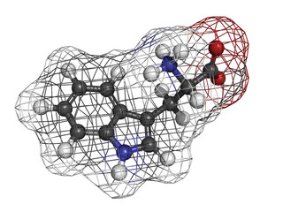 Tryptophan (Trp, W) amino acid, molecular model.