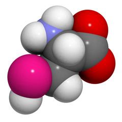 Selenocysteine (Sec, U) amino acid, molecular model.