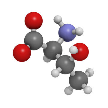 Threonine (Thr, T) amino acid, molecular model.