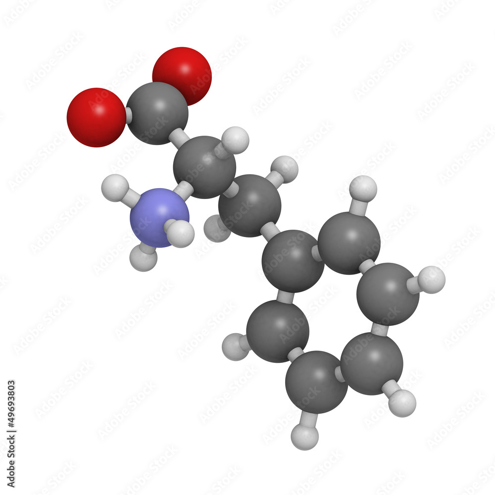 Poster Phenylalanine (Phe, F) amino acid, molecular model.