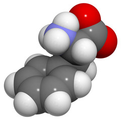 Phenylalanine (Phe, F) amino acid, molecular model.