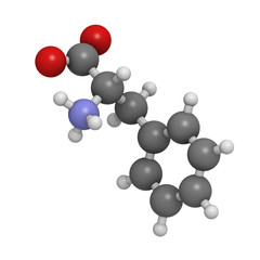 Phenylalanine (Phe, F) amino acid, molecular model.