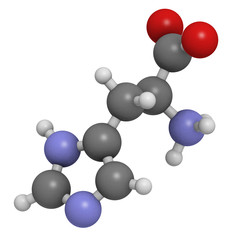 Histidine (His, H) amino acid, molecular model.