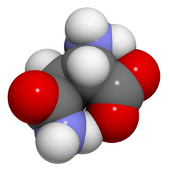 Asparagine (Asn, N) amino acid, molecular model.