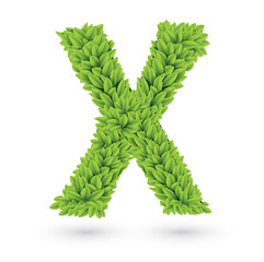 Letter of green leaves with shadow