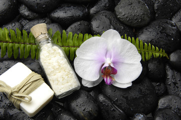 Fototapeta na wymiar Paproć z orchidei i olejek do masażu na tle zen kamienie