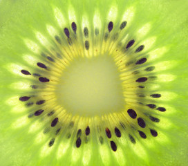 macro of fresh kiwi fruit
