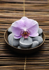 Single orchid with \gray stones in bowl on bamboo mat