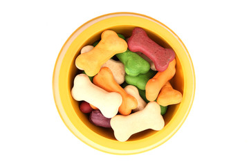 Dog bowl with bone biscuits