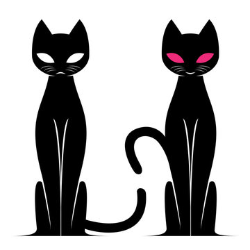 Vector image of an cat on white background