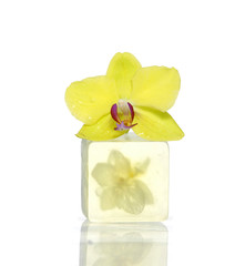 Fototapeta na wymiar spa zestaw z żółtym orchidea na myd?