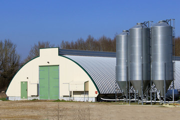 hangar pour élevage de poulets © laurine45