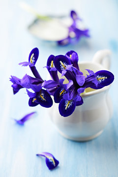 Purple iris flowers in a vintage cup