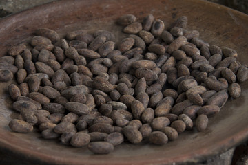 Kakaobohnen in Schale