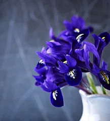 Crédence de cuisine en verre imprimé Iris Fleurs d& 39 iris de printemps dans un vase
