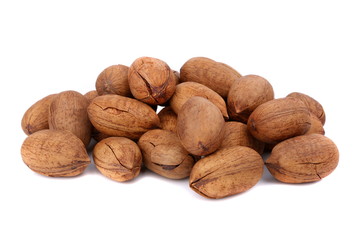 pecan