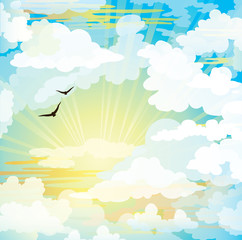 Flying birds and sunset cloudy sky