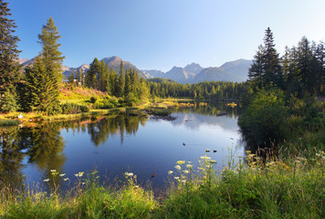 Scène de montagne nature avec beau lac en Slovaquie Tatra - St