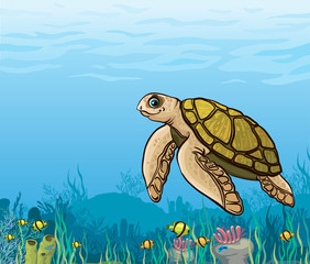 Cartoon sea turtle and coral reef.