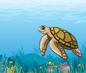 Poster Cartoon zeeschildpad en koraalrif. © Natali Snailcat