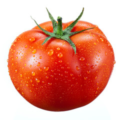 Tomato branch isolated on white background